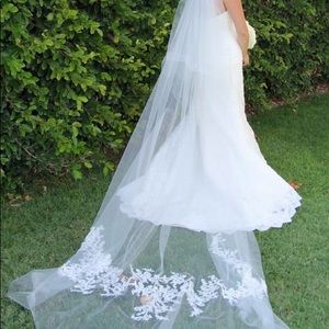 BEAUTIFUL Lace Veil